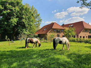 Leuk boerderijtje op prachtige plek, nabij natuurgebied